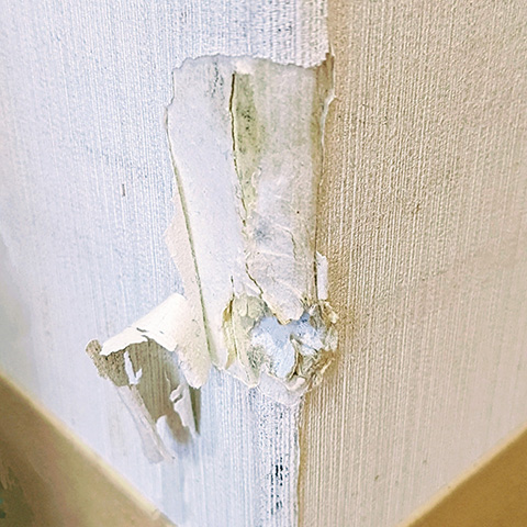 壁紙やクロスの破れ補修